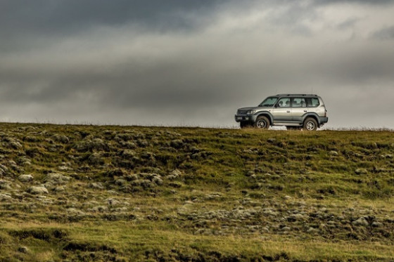 Giordania in Self Drive 